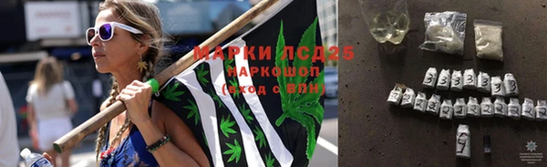 прущие грибы Алексин