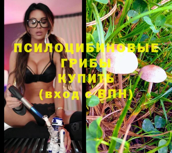 ALPHA PVP Алзамай