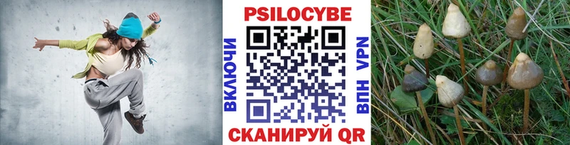 Псилоцибиновые грибы Cubensis  Боровск 